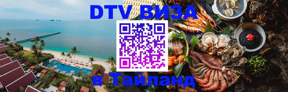 Оформление DTV визы под ключ: стоимость и тарифы, только загранпаспорт - Кызыл  04.10.2025 